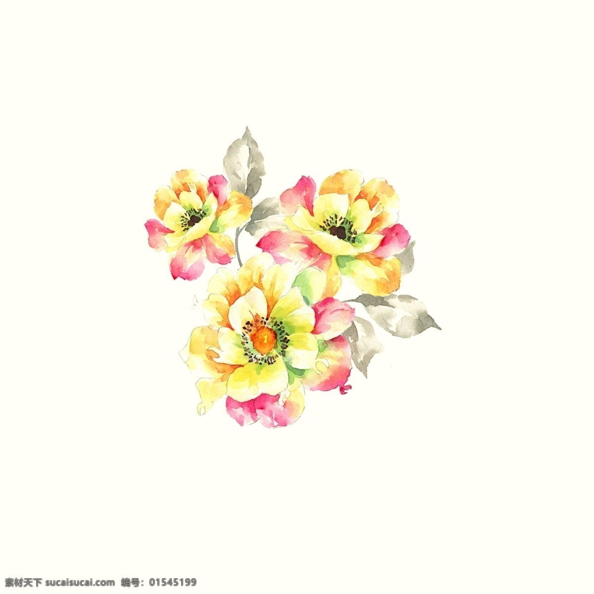 位图免费下载 服装图案 花朵 位图 植物 pop原创 面料图库 服装设计 图案花型