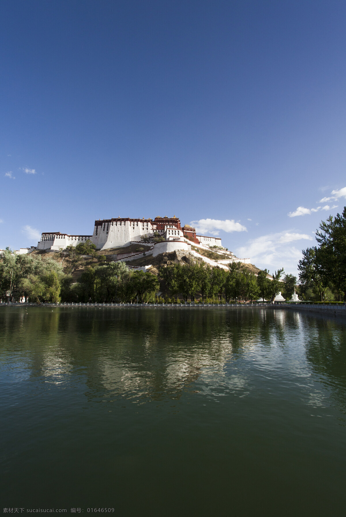 拉萨 布达拉宫 风景 湖面 湖水 天空 国内旅游 旅游摄影 黑色