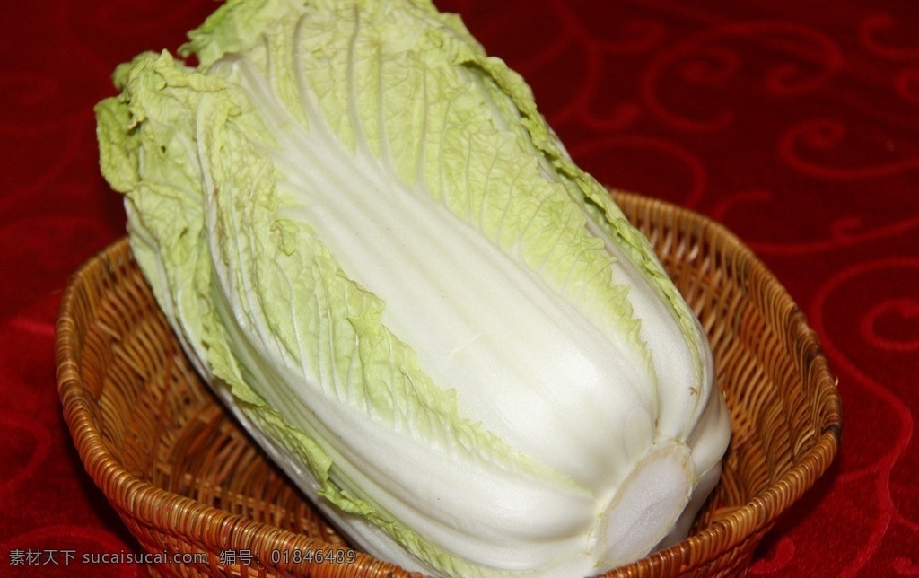 大白菜 娃娃菜 蔬菜 生物世界