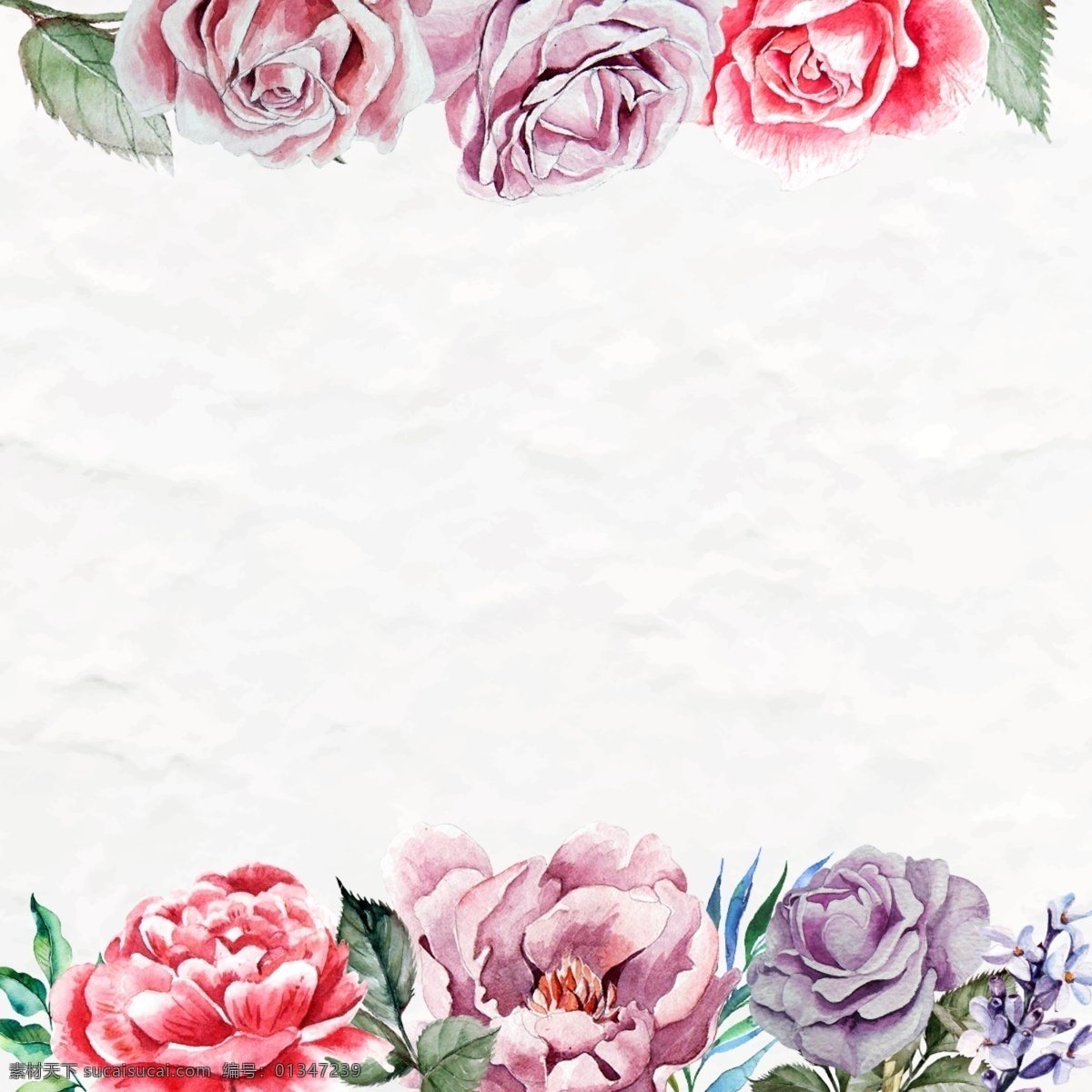 美丽 手绘 水彩 花环 花花 花叶