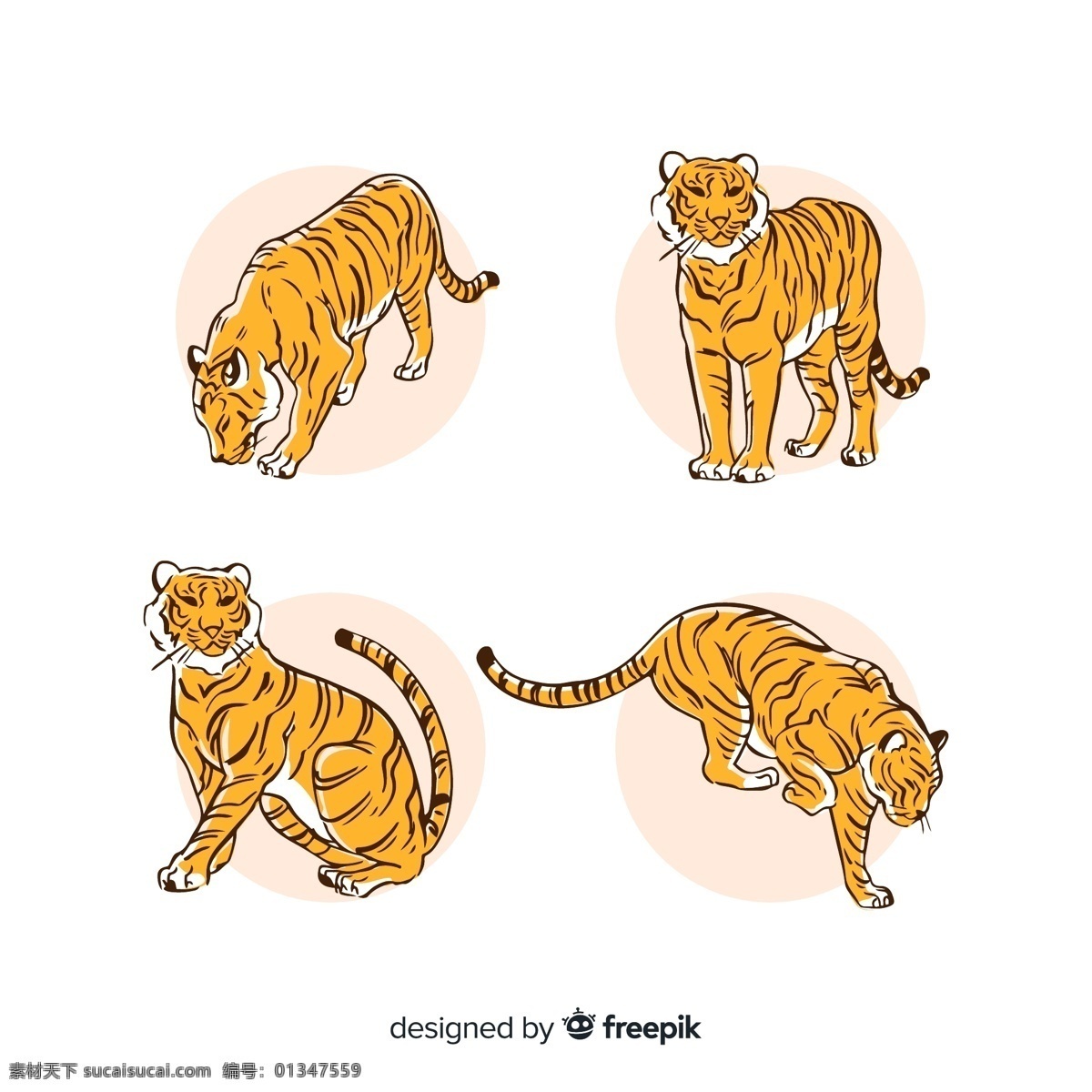 4款手绘 老虎设计 矢量素材 手绘 老虎 动物 矢量图 ai格式