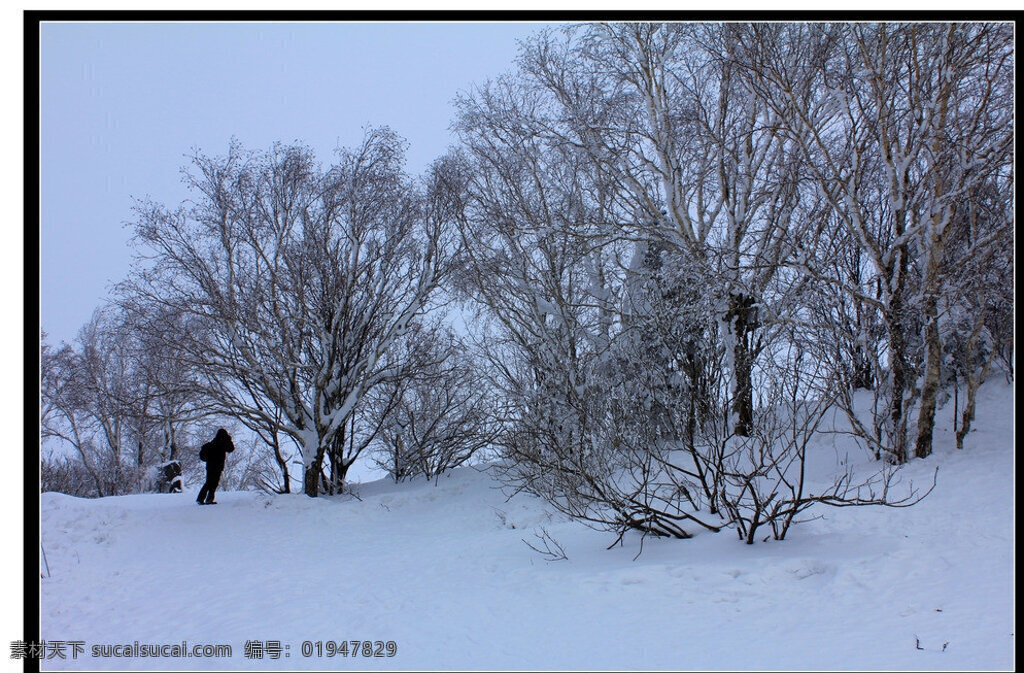 雪乡 雪 房屋 美景 冬季 田园风光 自然景观 蓝色