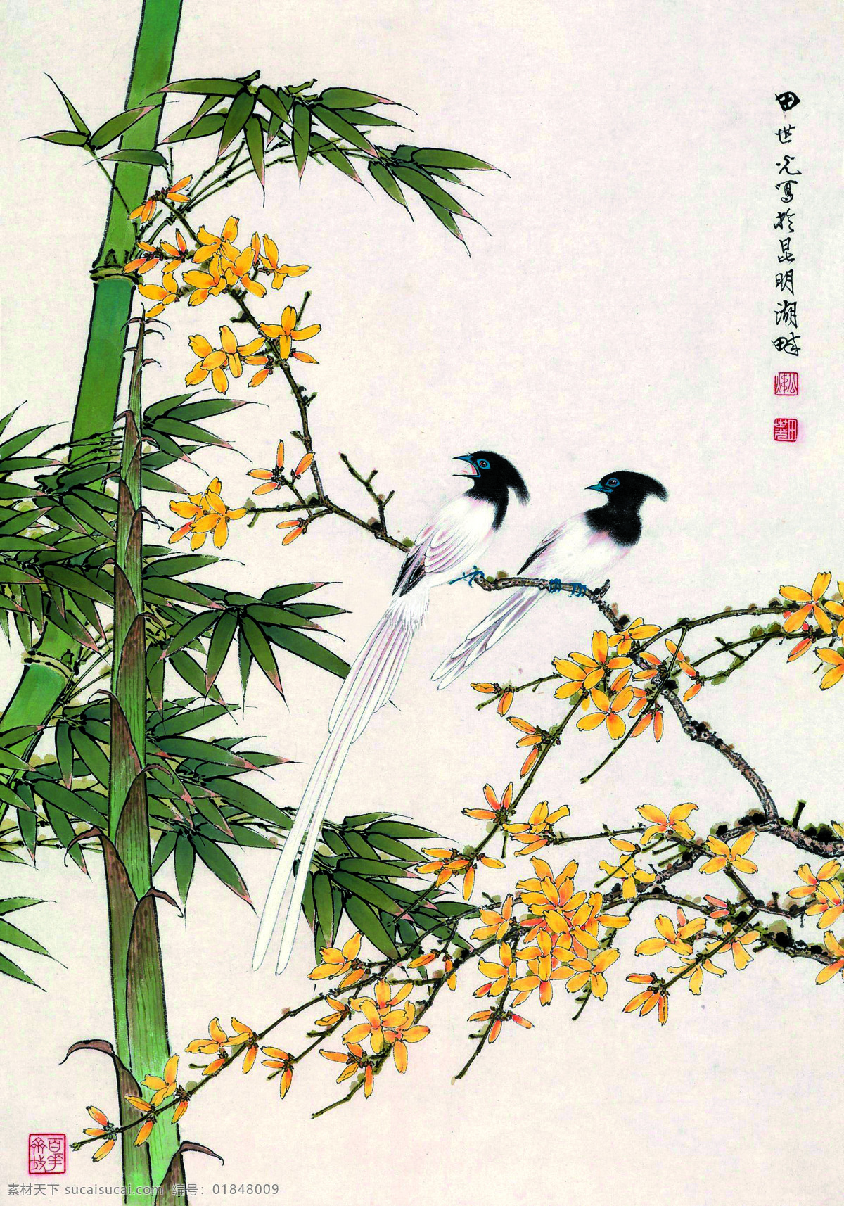 田世光花鸟画 美术 中国画 彩墨画 花木 黄花 长尾白鹊 竹子 文化艺术 绘画书法