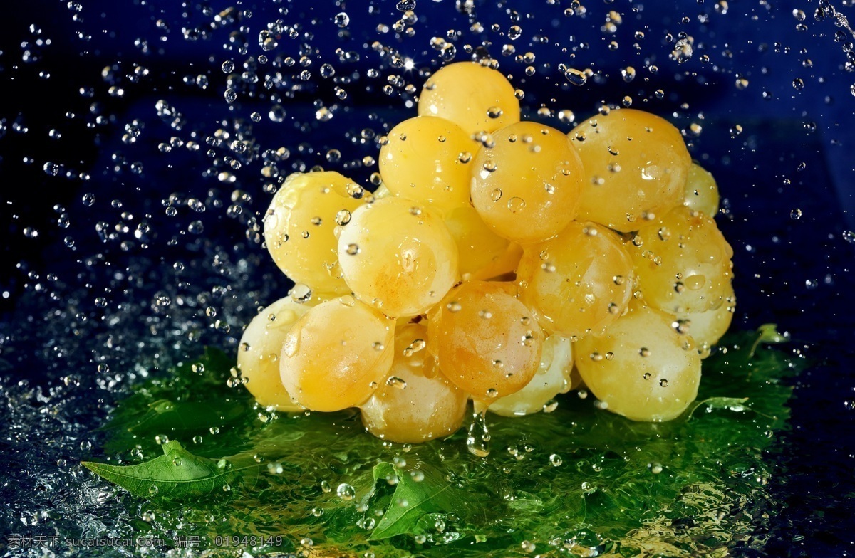 水珠 葡萄 果实 果子 水果 新鲜水果 水果背景 水果图片 餐饮美食