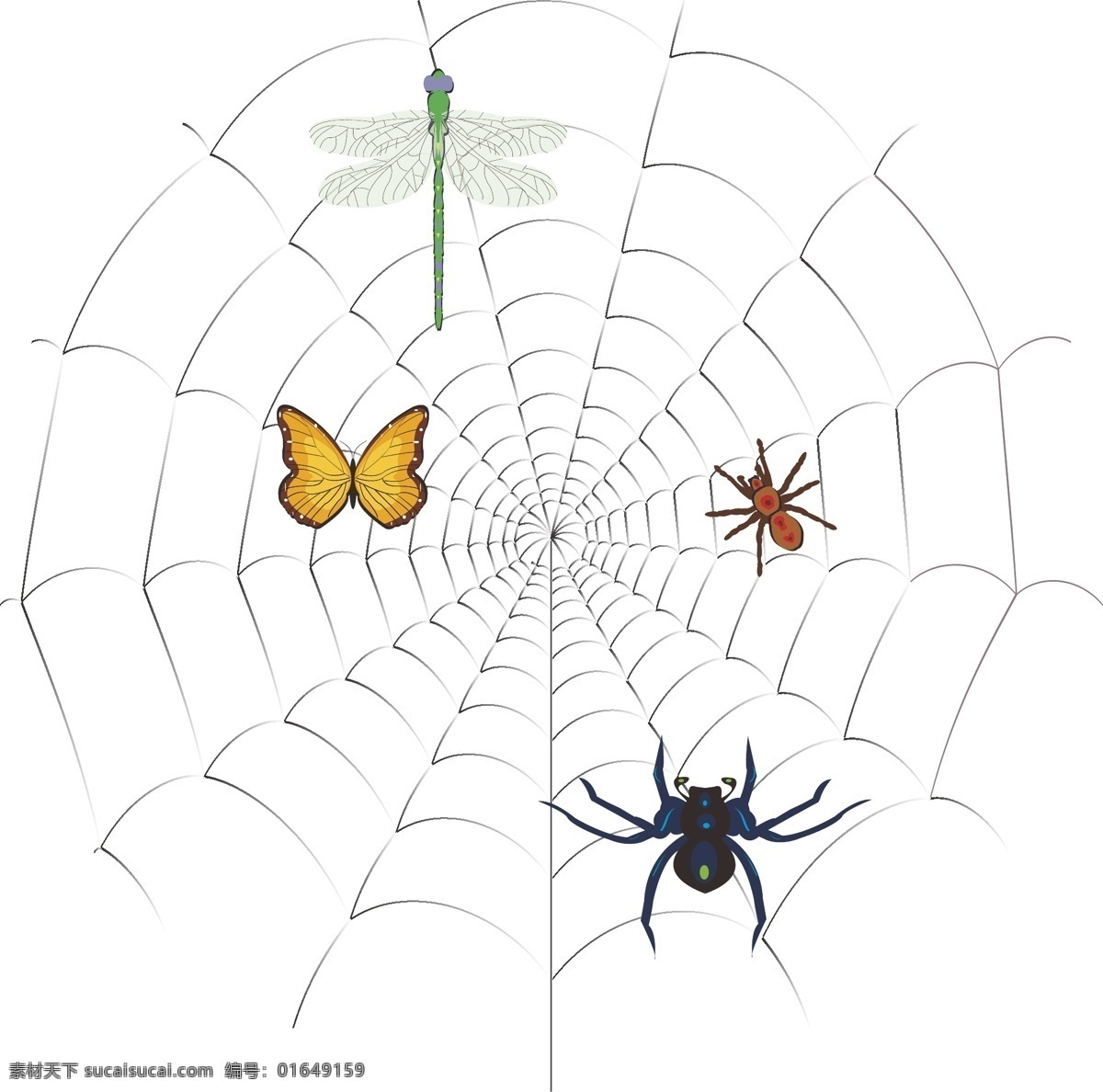 蜘蛛网 自然景观 蜘蛛 蝴蝶 蜻蜓 蜘蛛结网 生物世界 昆虫 广告 海报 展板
