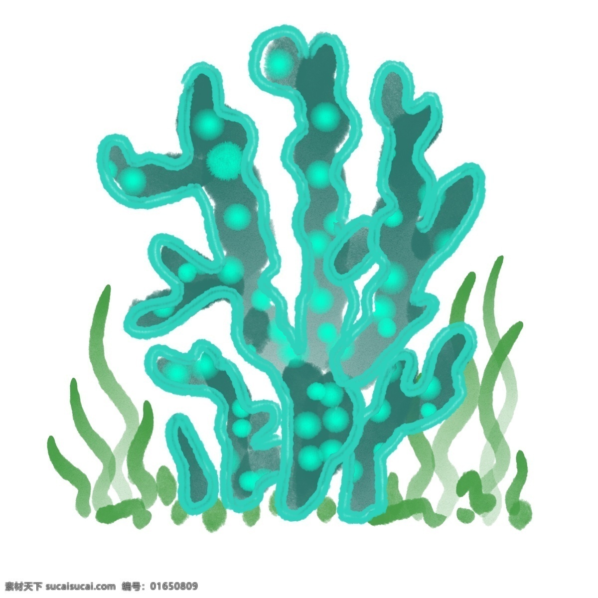 漂亮 海洋 珊瑚 插画 海洋珊瑚 漂亮的珊瑚 海洋珊瑚插画 蓝色海水 海草 海藻 植物 绿色植物