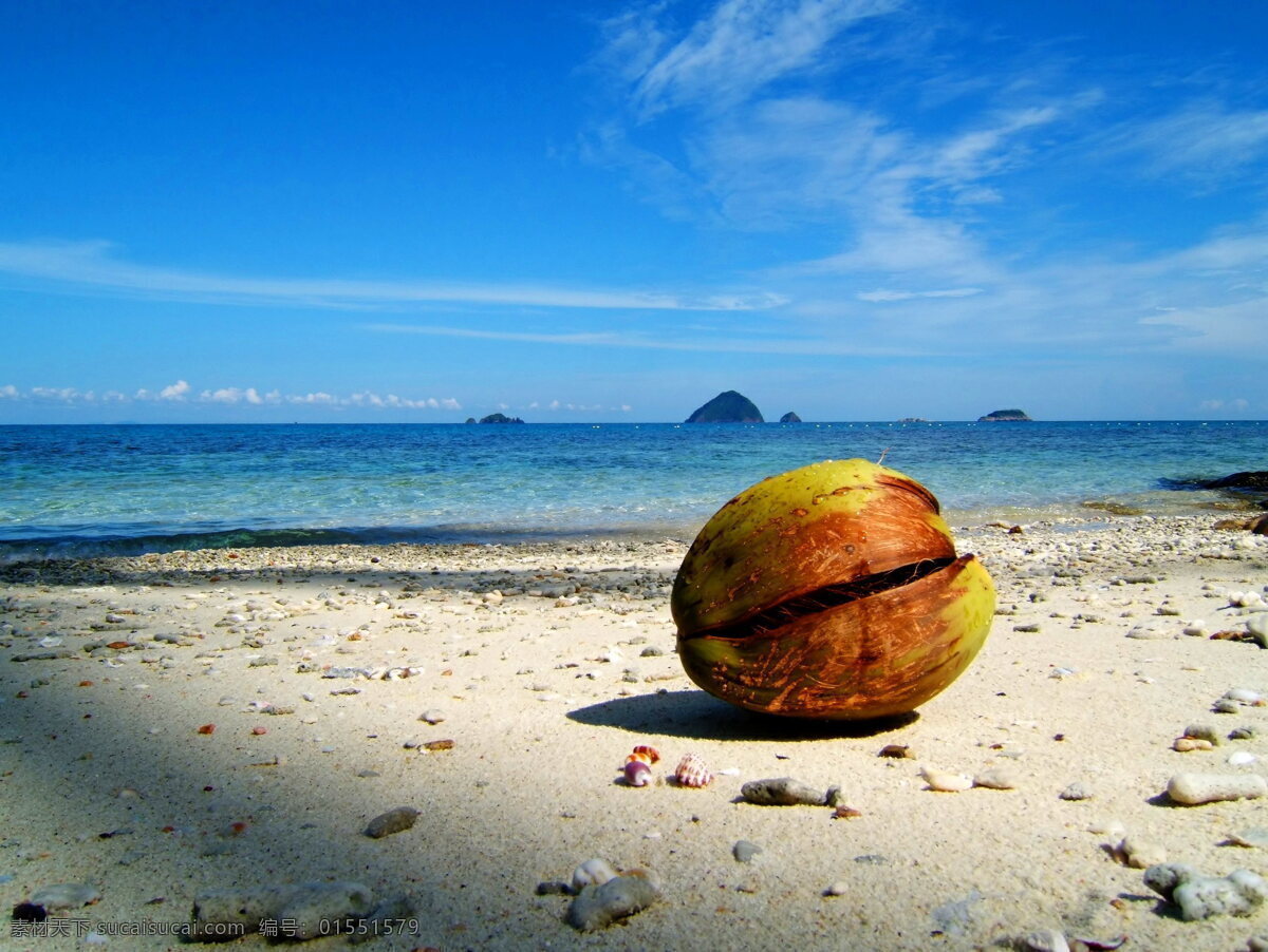 美丽 夏日 海滩 高清 夏天 风景 椰子壳 沙滩