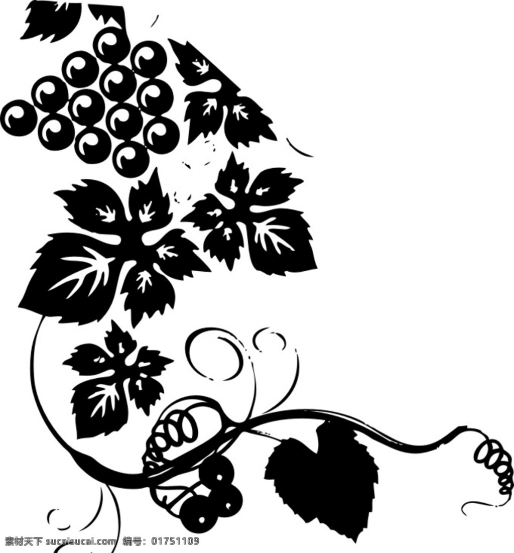 葡萄图形 葡萄 叶 黑白 红酒 图形 葡萄叶 矢量 酒素材红酒 底纹边框 花边花纹