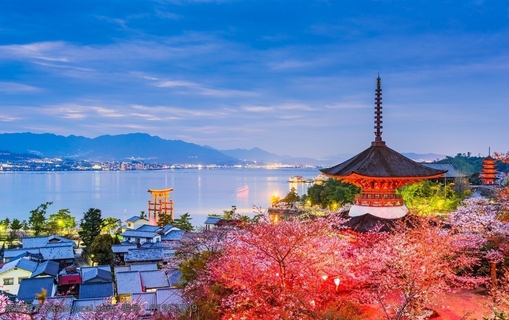日本 樱花树 富士山 日本樱花 风景 自然景观 山水风景