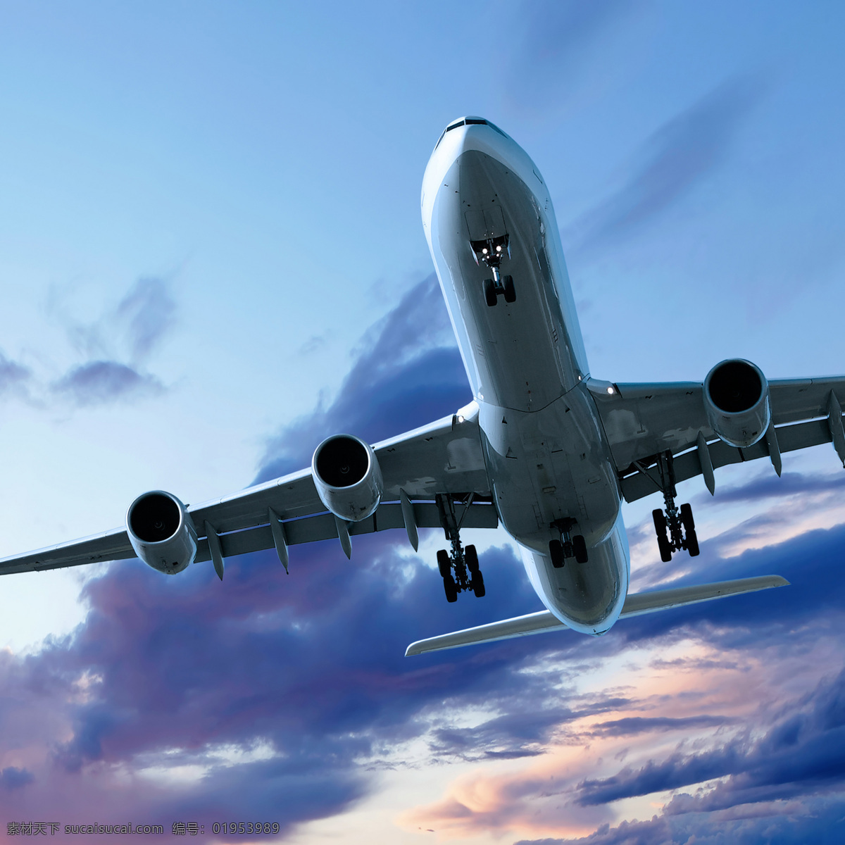 飞机 航空 飞行 科技 航空业 现代科技 交通工具
