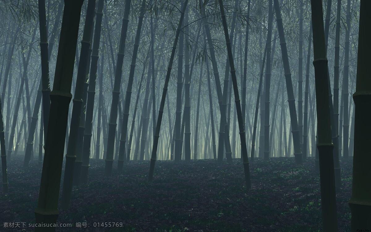 竹林 竹子 竹海 古风素材 清晨的竹林 生物世界 树木树叶