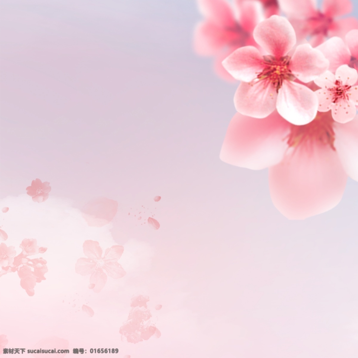 粉色 玫瑰 花朵 母亲节 分层 主 图 背景 粉色背景 玫瑰花背景 母爱 化妆品 美妆 彩妆 香水 面膜 淘宝 主图 直通车