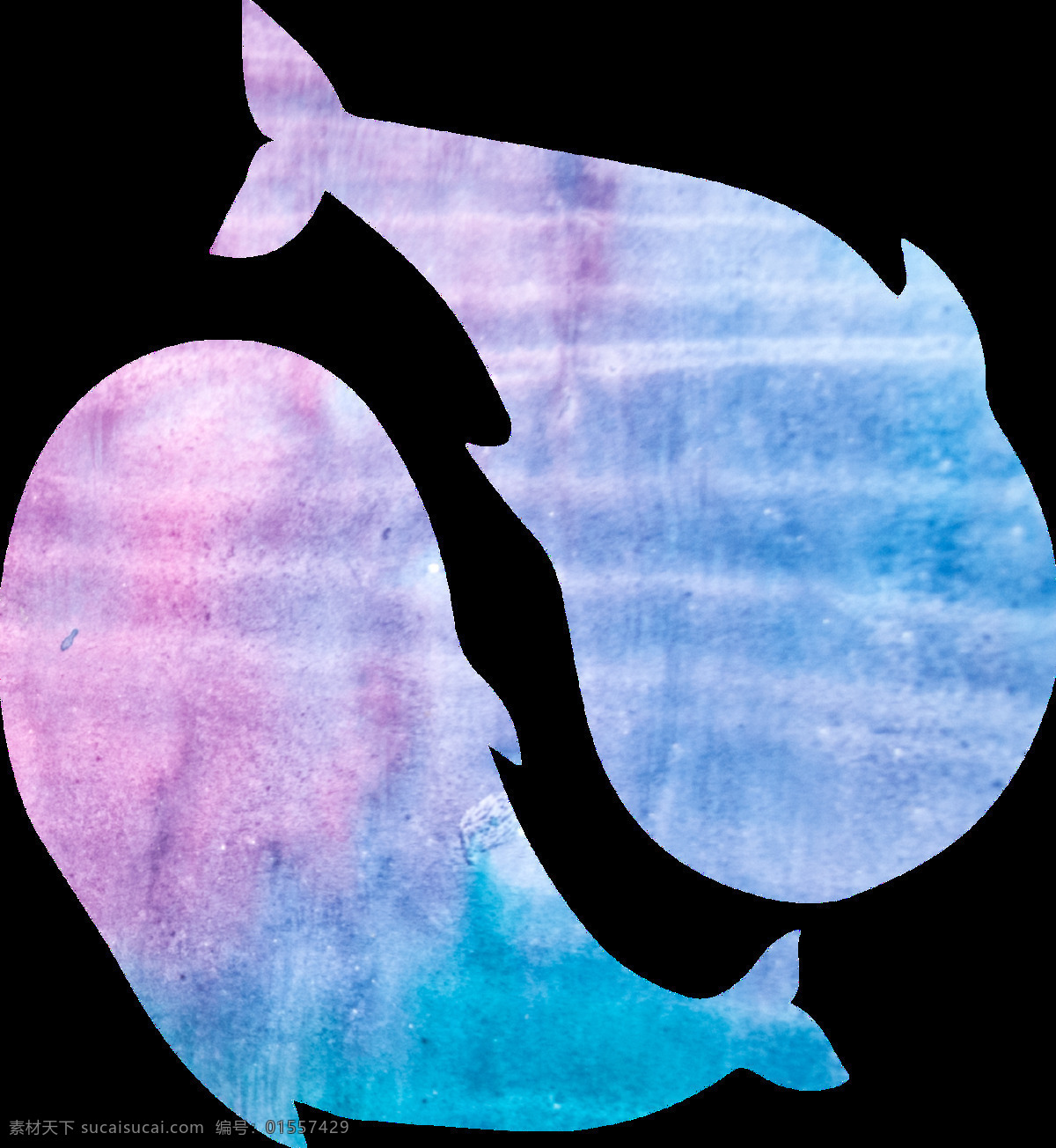 手绘 卡通 海豚 透明 可爱 两只海豚 蓝色 游玩 透明素材 免扣素材 装饰图片