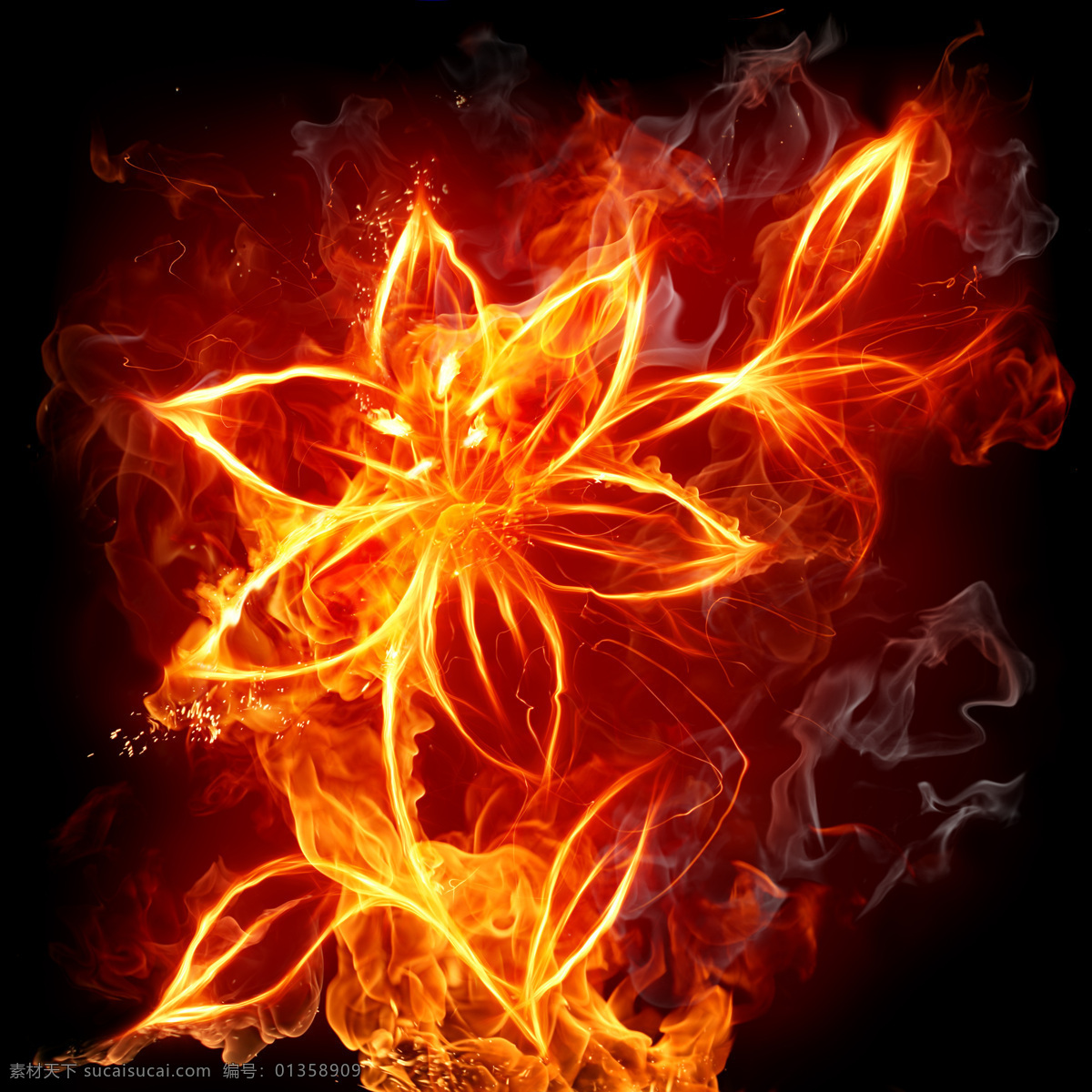 燃烧的花朵 燃烧 火焰 花朵 金光 招贴设计 燃烧系列 设计图库