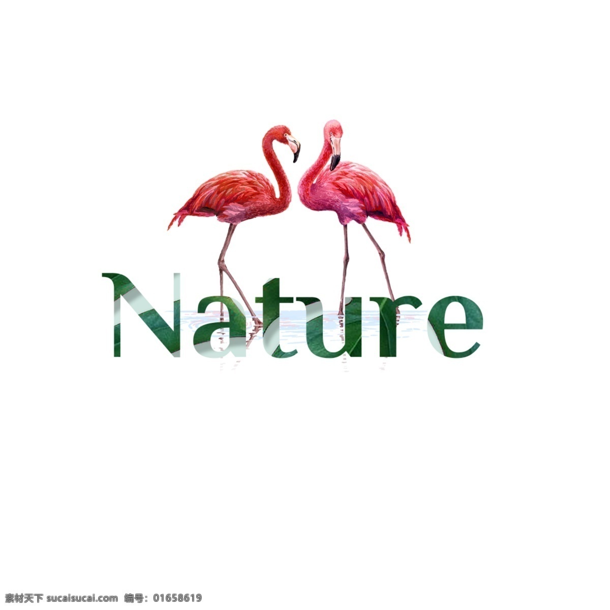 红色 起重机 绿色 自然 抽象 字体 鸟类 动物 颜色 背景 抽象字体 可编辑的字体 书法