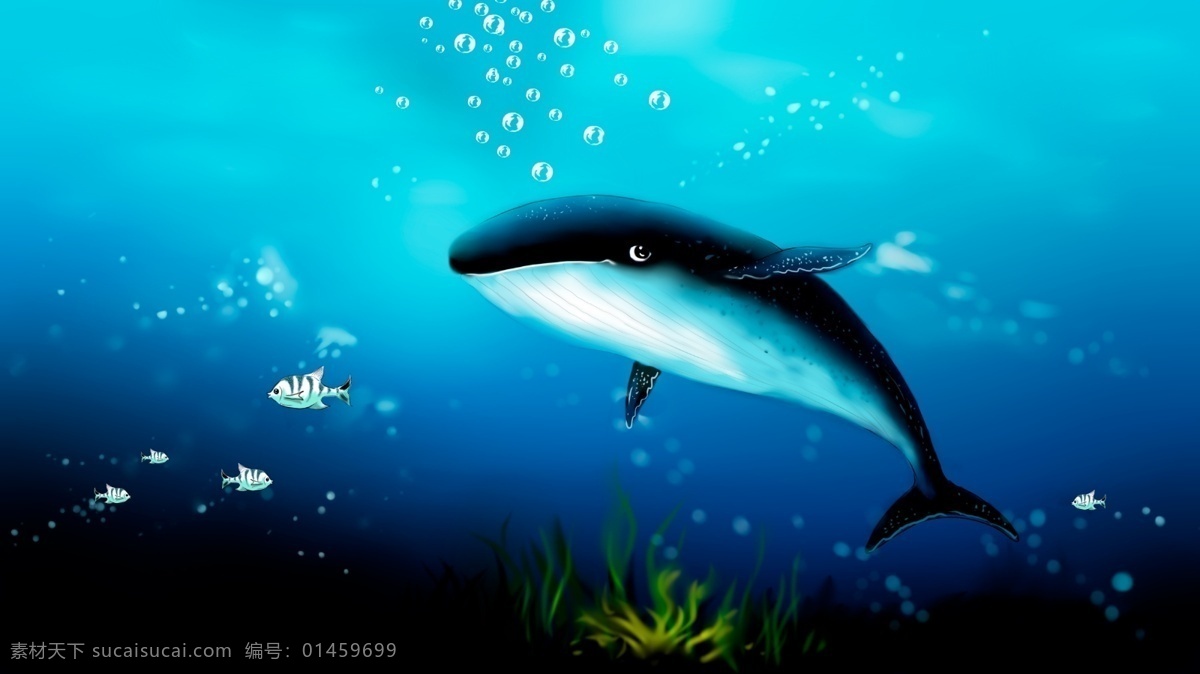 深海 鲸鱼 插画 蓝色 背景 图 海洋背景 广告背景 背景素材 卡通背景 手绘背景 深海背景 海底世界背景 鲸鱼背景 psd背景 背景展板