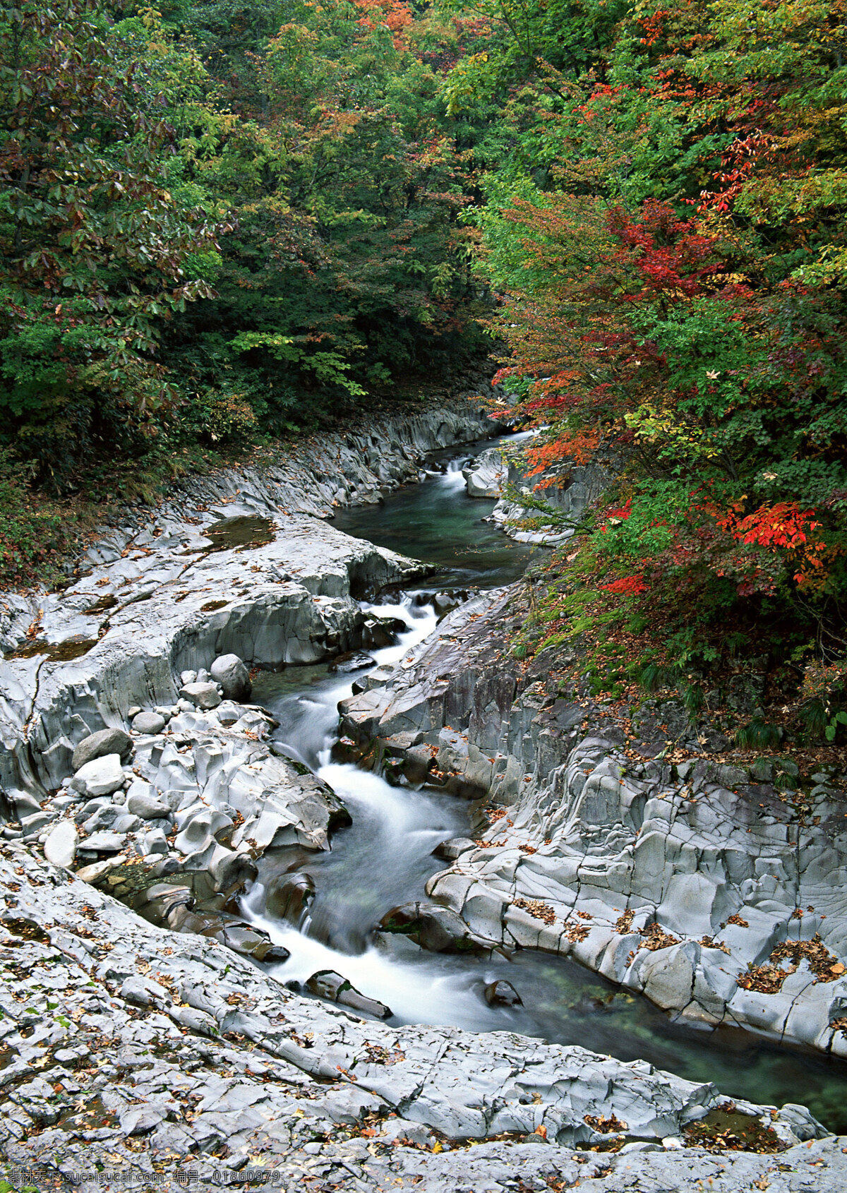 财源滚滚 风景 风景画 河流 流水生财 绿树 山峰 山水 小溪 流水 小溪流水 急流 山水风景画 细水长流 溪流 溪水 摄影图 山水风景 自然景观 家居装饰素材