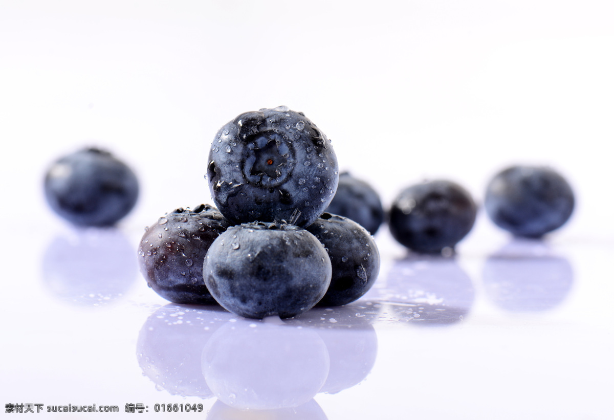 蓝莓 桑葚 水果 新鲜 鲜美 甜蜜 生物世界