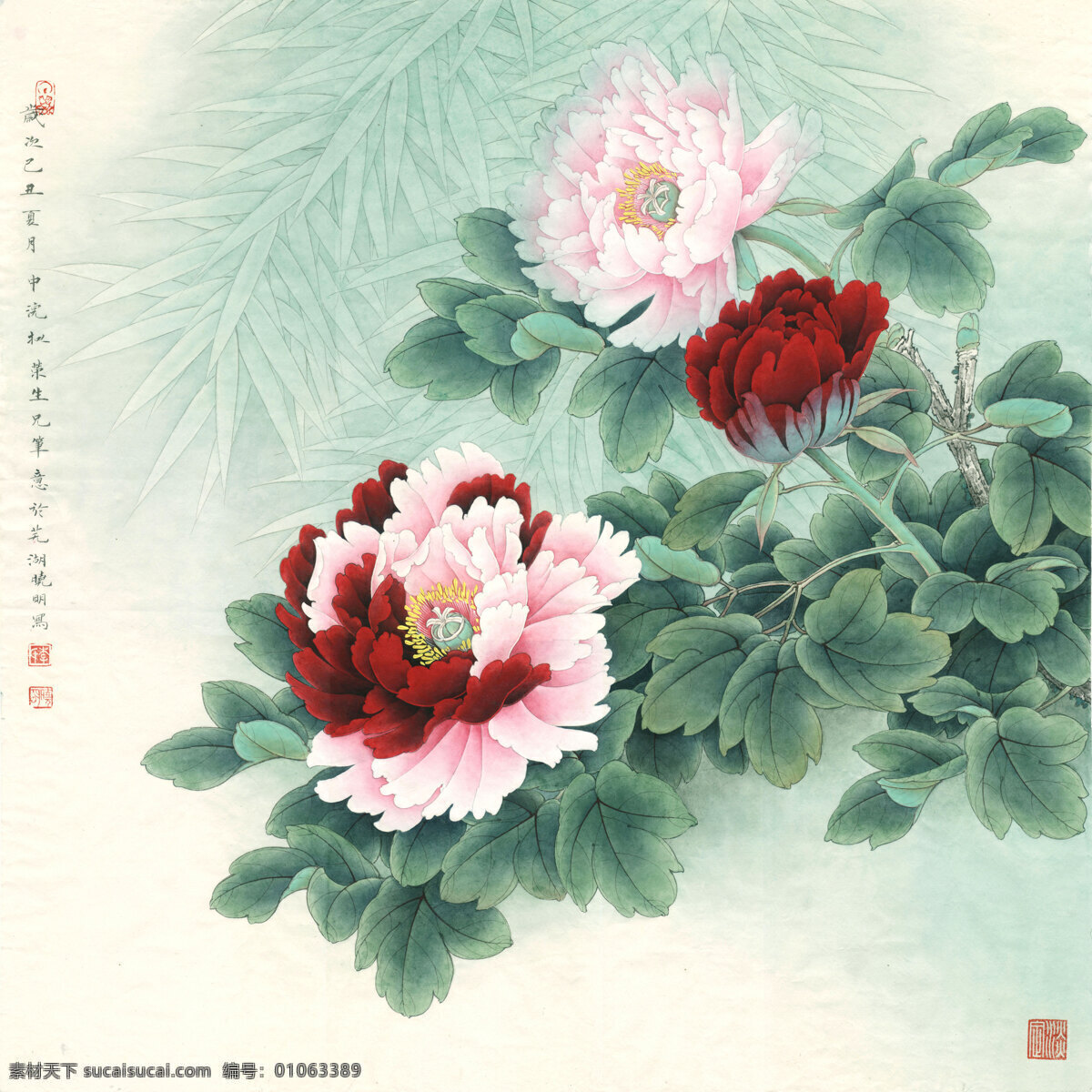 工笔 细腻 花卉 牡丹 家纺用图 白色
