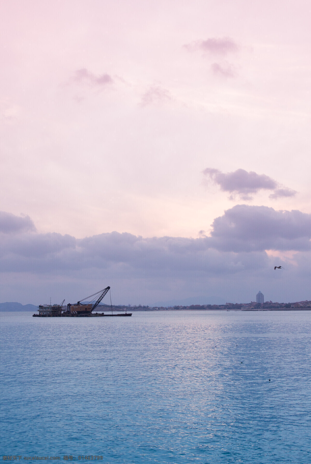 青岛 海 船 国内旅游 海景 黄昏 旅游摄影 青岛的海 云彩 云 风景 生活 旅游餐饮