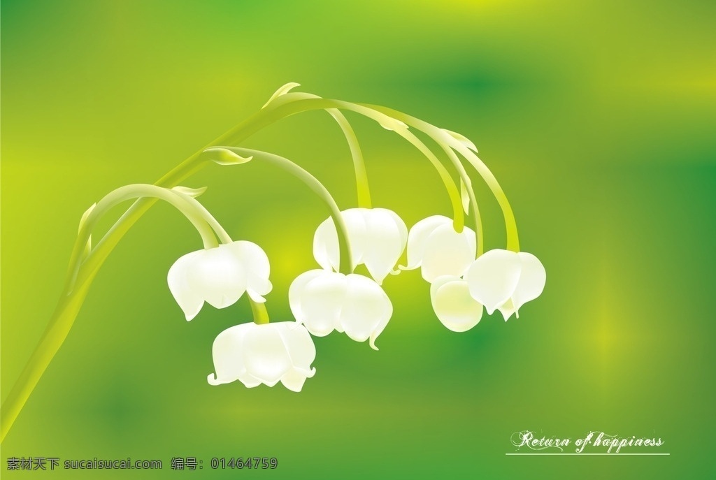 铃兰 花 自然 矢量 白色花 自然景观 自然风光