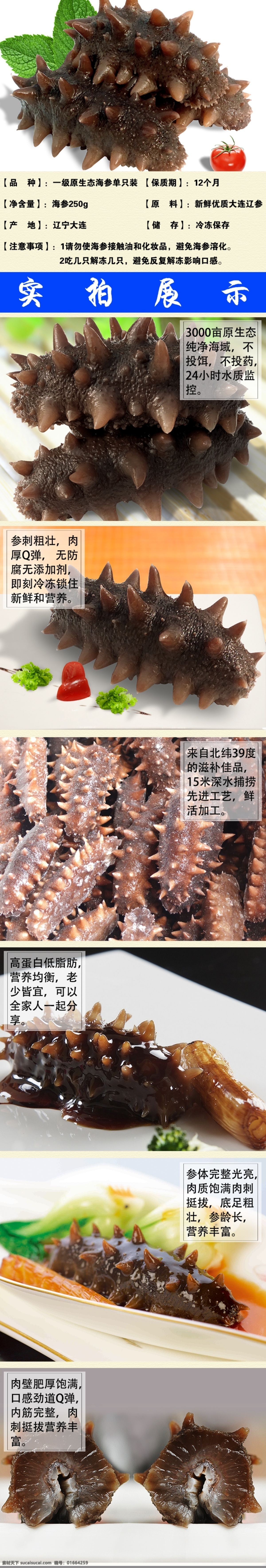 即食海参辽参 海参 辽参 营养 保健 海鲜 食品 美食 海产品 海珍品 单冻海参 主图 详情 淘宝界面设计