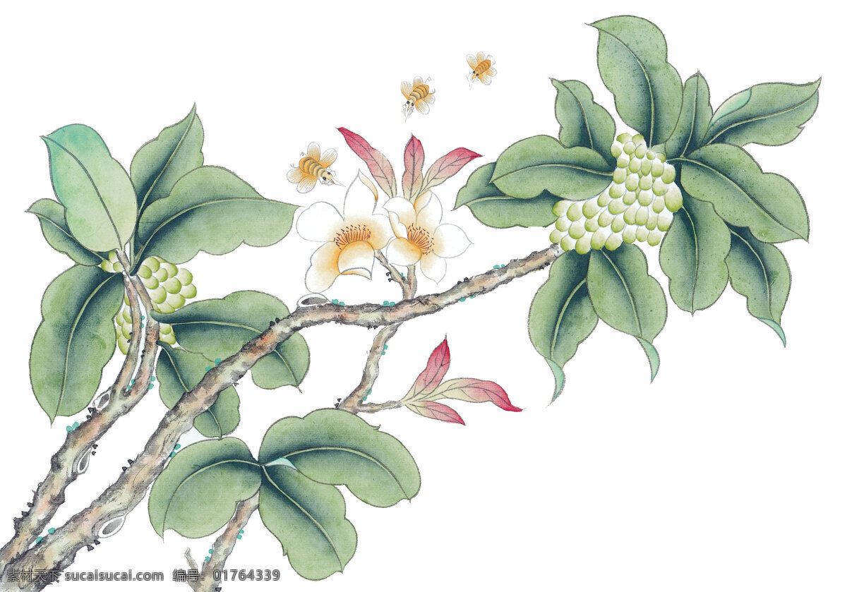 中式 花鸟 工笔画 花朵 花卉 花草 鸟 中国风 中式工笔画 文化艺术 绘画书法