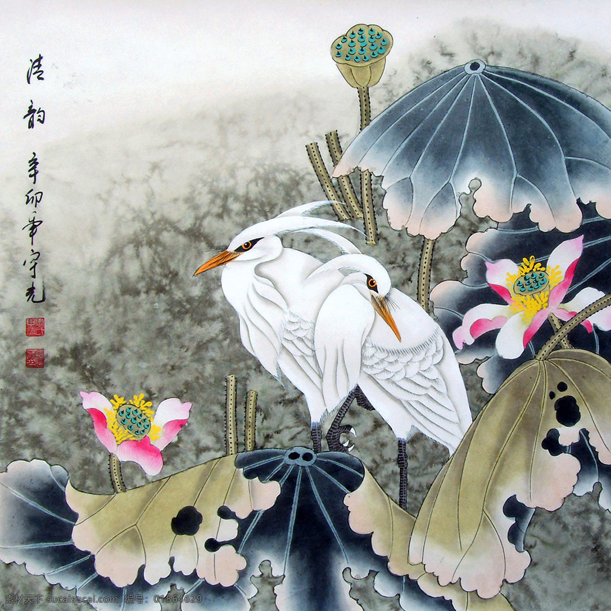 清韵 美术 中国画 工笔画 花鸟画 白鹭 荷花 国画艺术 国画集78 绘画书法 文化艺术