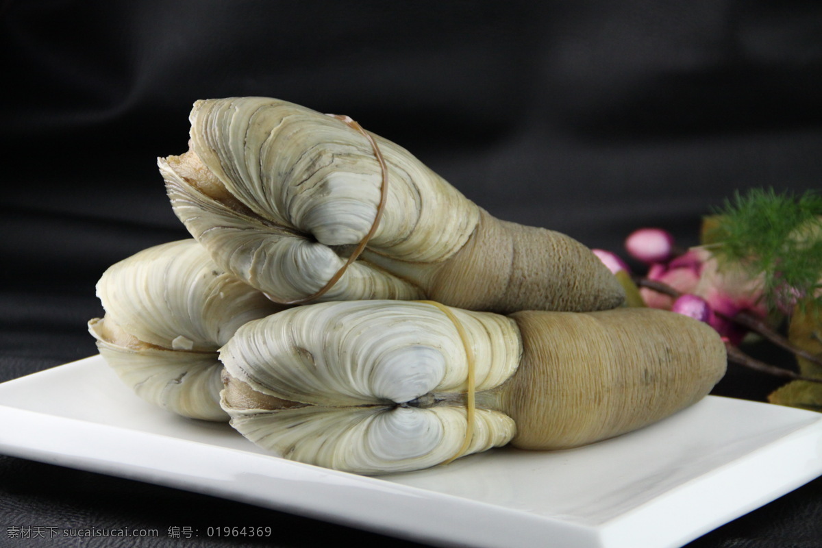 象拔蚌 海鲜 贝壳类 大海 菜肴 冰鲜 水产 海鲜底纹 传统美食 餐饮美食