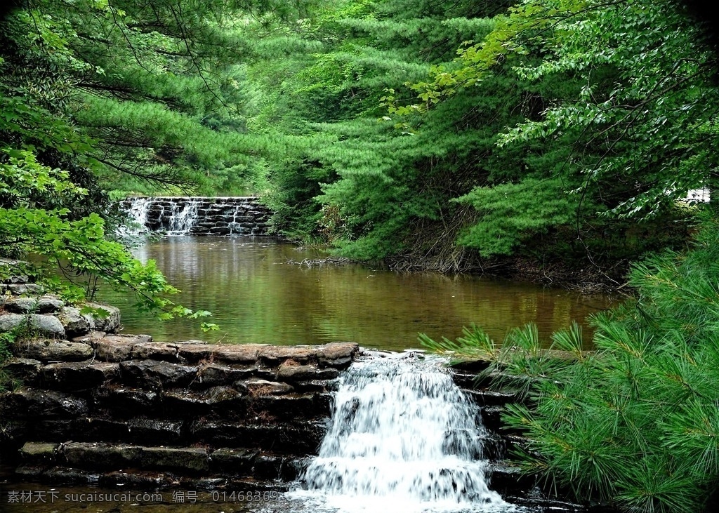自然 原始 原始森林 小溪 小河 深处 石头 大自然 松树 加拿大 大兴安岭 树林 河流 园林 自然景观 山水风景