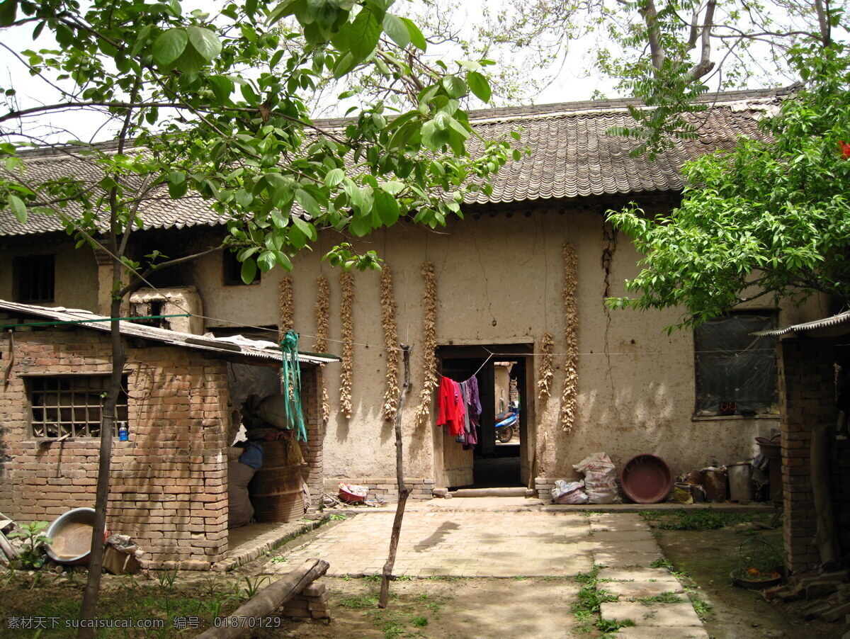 北方农家小院 陕西农村 西北 小院 瓦房 柿子树 玉米叶 国内旅游 旅游摄影