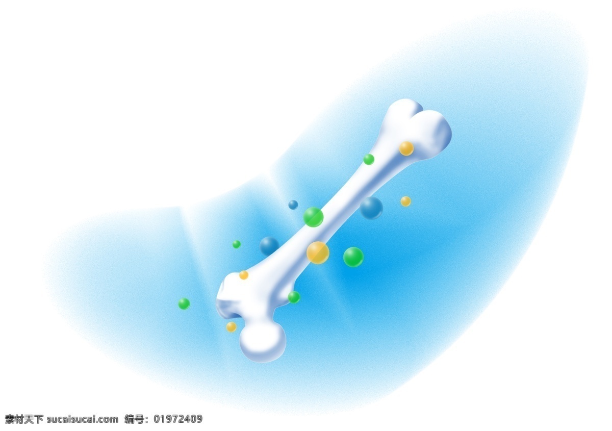 骨头 分子 大骨 钙 骨骼 分层 源文件