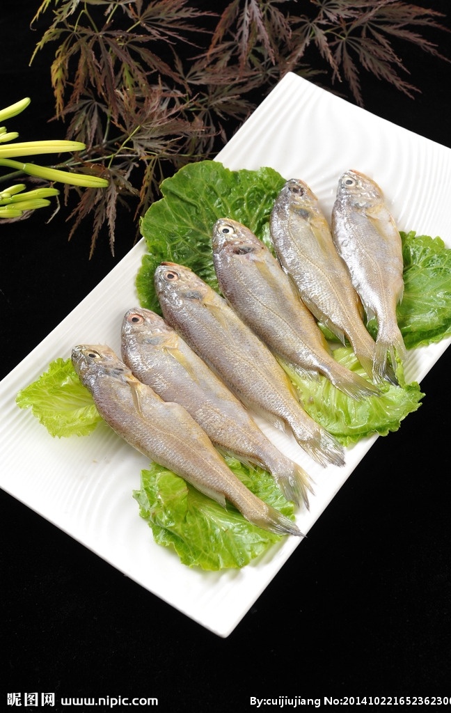 大梅鱼 小 黄花鱼 烤黄花鱼 小黄花 海鲜 海鱼 烤肉菜品 餐饮美食 食物原料