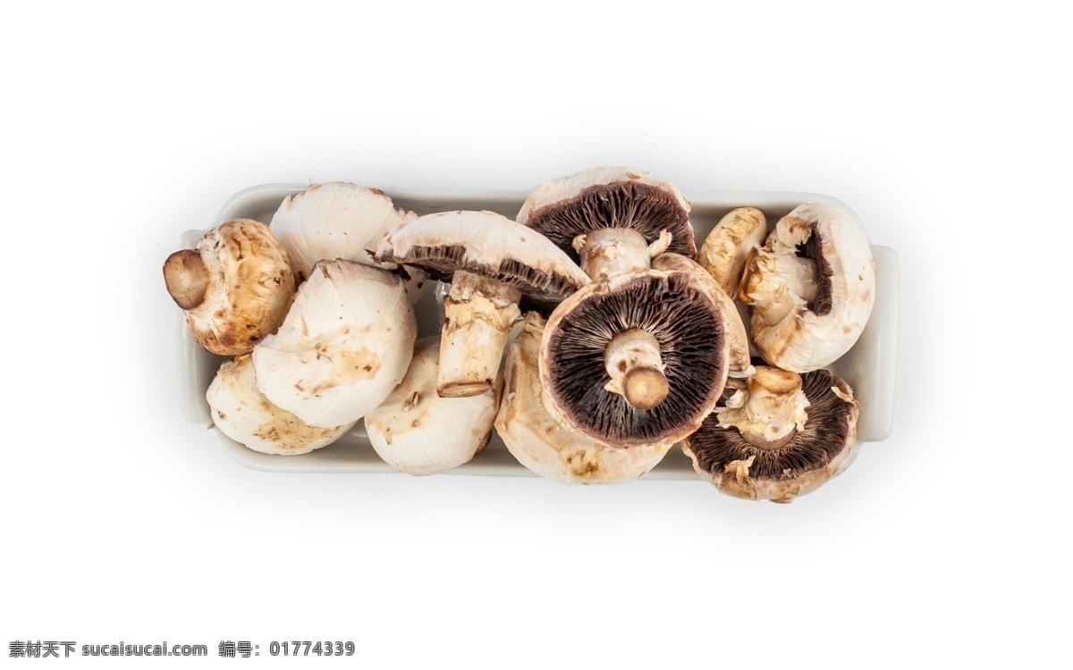 俯视图 新鲜 采摘 蘑菇 源文件 白色 菌类 蔬菜 美味 装饰图案