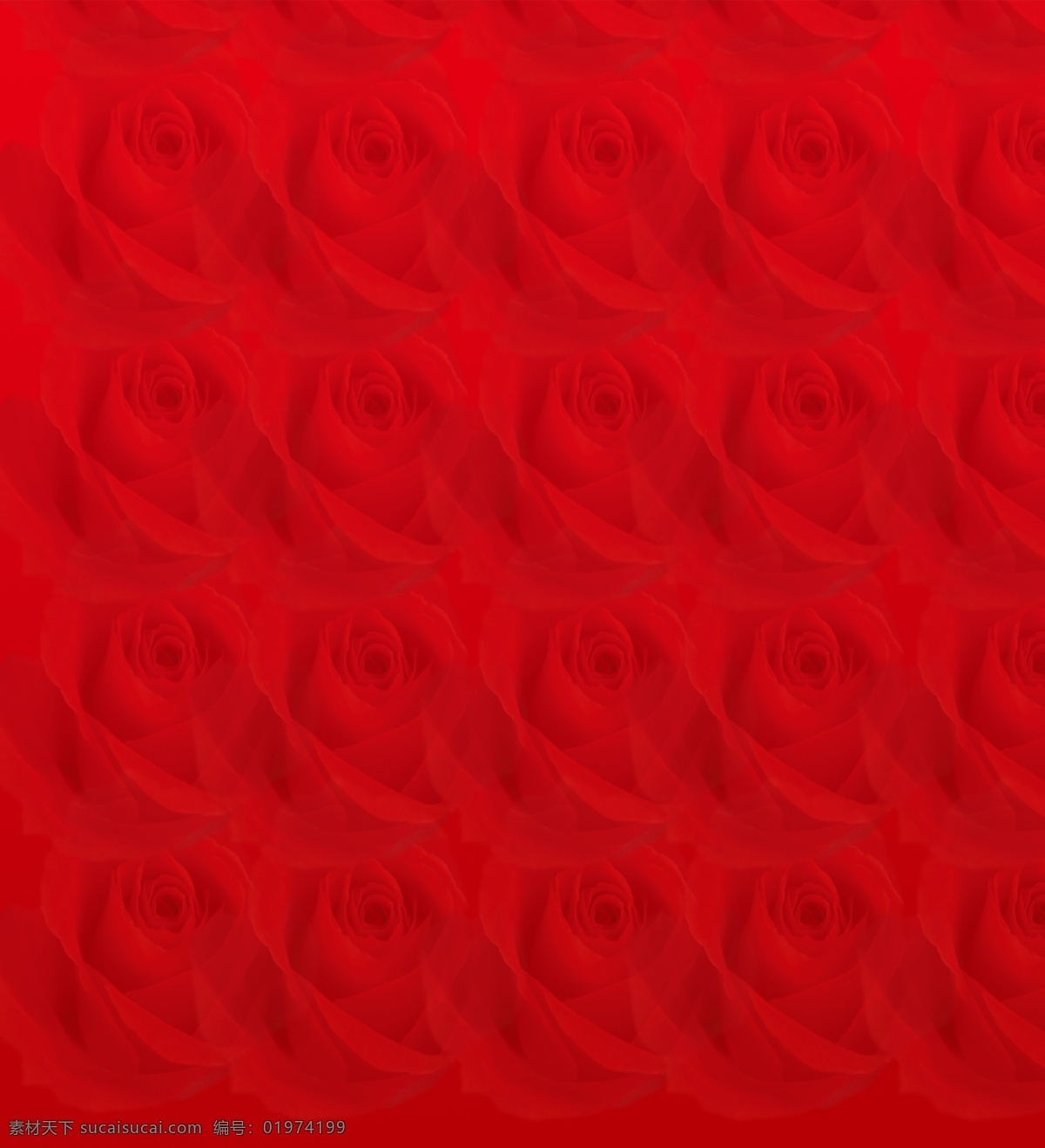 玫瑰 玫瑰底纹 底纹 红色