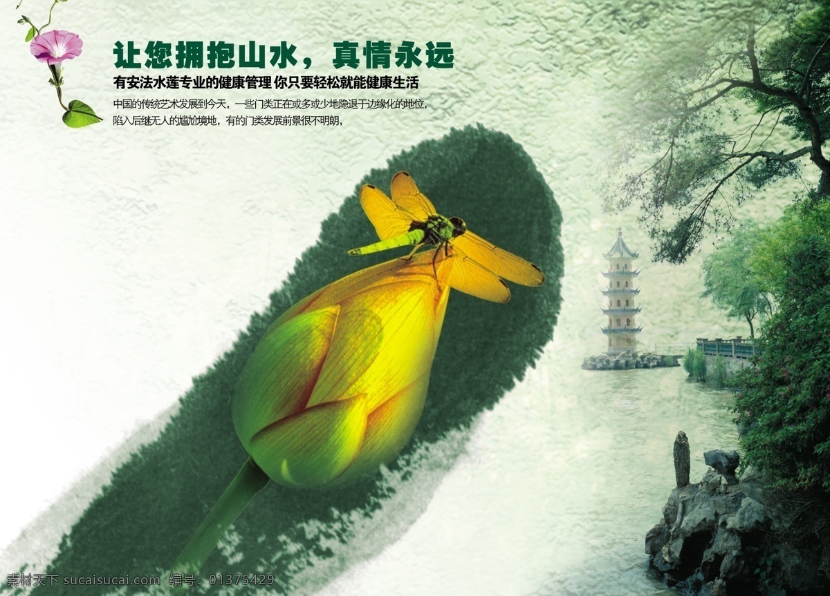 拥抱 山水 地产 荷花 蜻蜓 让您拥抱山水 真情永远 墨染意境应用