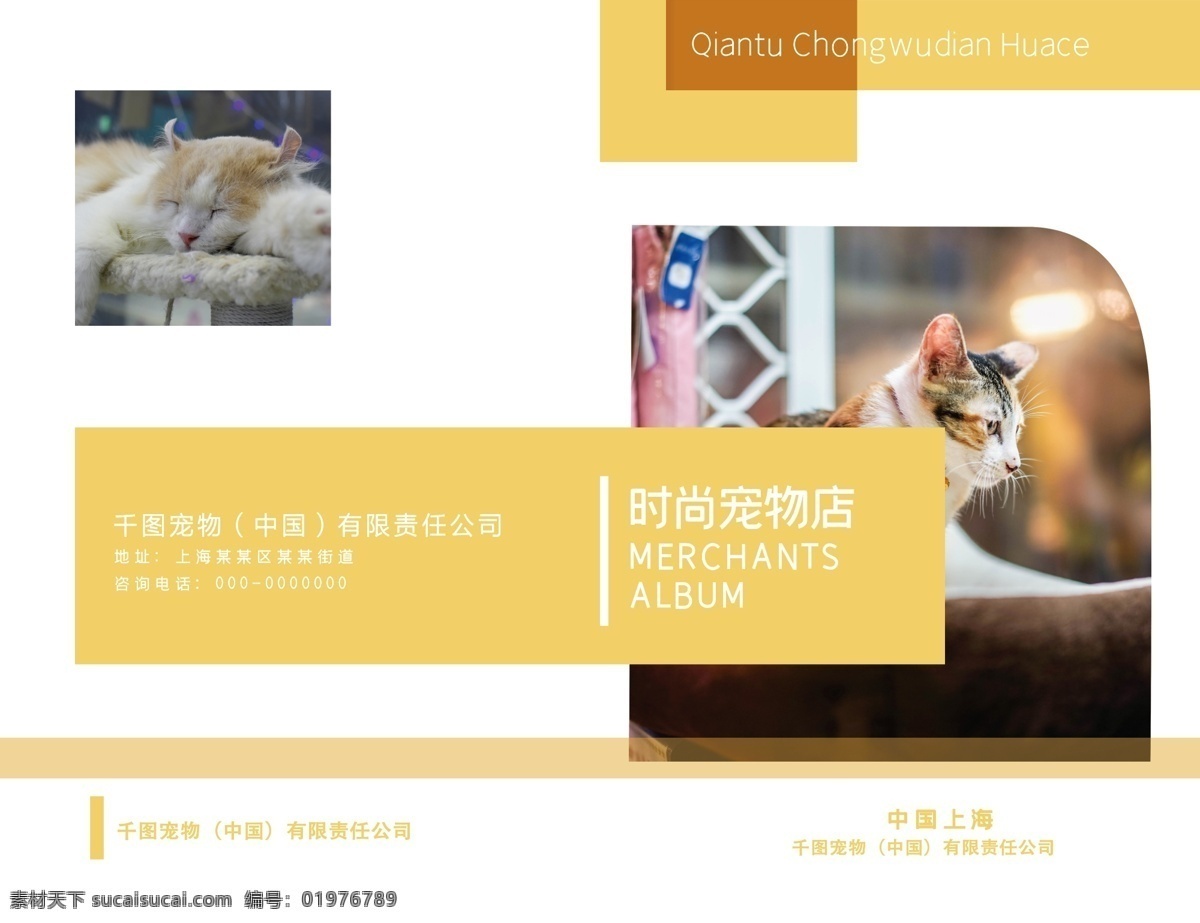 黄色 小 清新 宠物 画册 封面 宠物画册封面 宠物画册 画册封面 动物 相册 相册封面 小清新 简约风