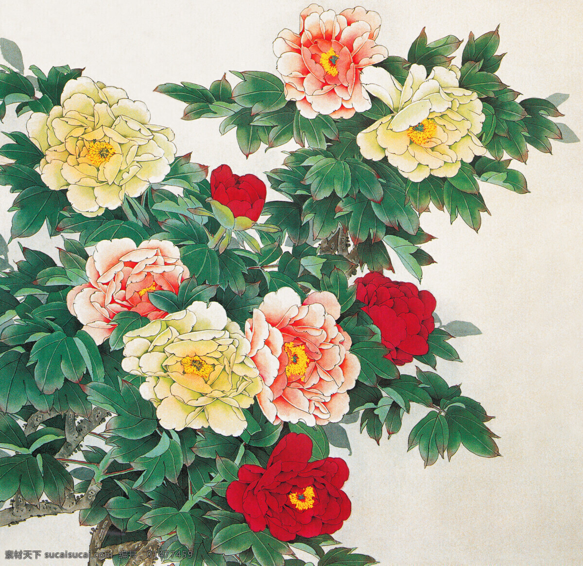 国画 彩色 牡丹 植物 中国画 水墨画 书画文字 文化艺术