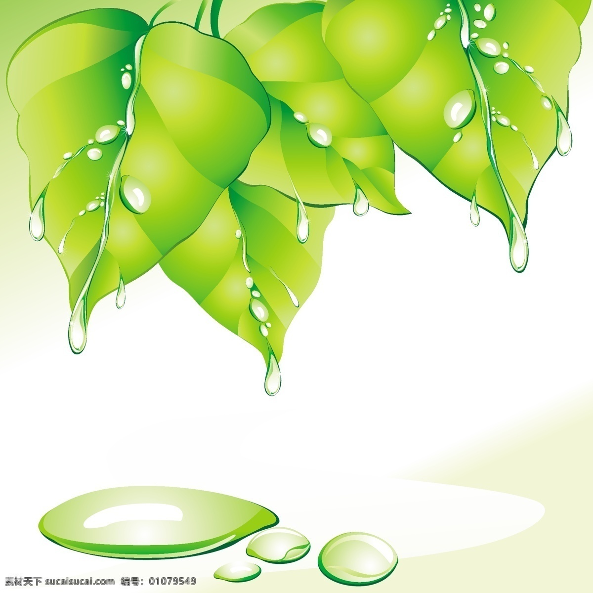 白纸 便签 春天 滴水 蝴蝶 卡纸 绿叶 梦幻 梦幻背景 瓢虫 超 炫 水泡 水 纹 水花 背景 水纹动感背景 水花光线背景 水纹水花背景 矢量 花纹 水滴绿叶 树叶 水珠 水滴 滴下 叶子 叶子图片 叶子背景 蒲公英 小草 生机 矢量素材 矢量图