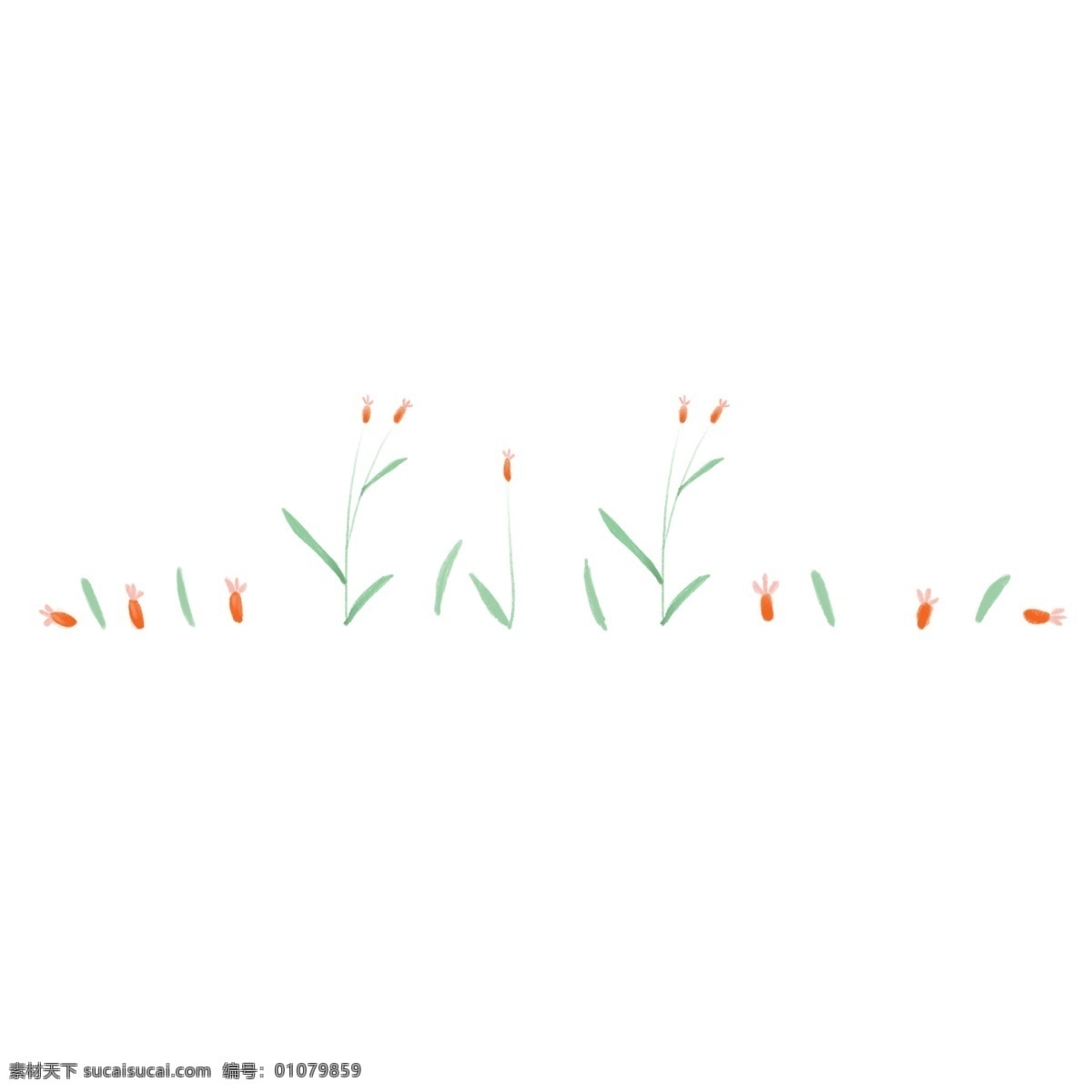 植物 小花 分割线 插画 植物分割线 插图 红色小花 绿色叶子插图 花卉
