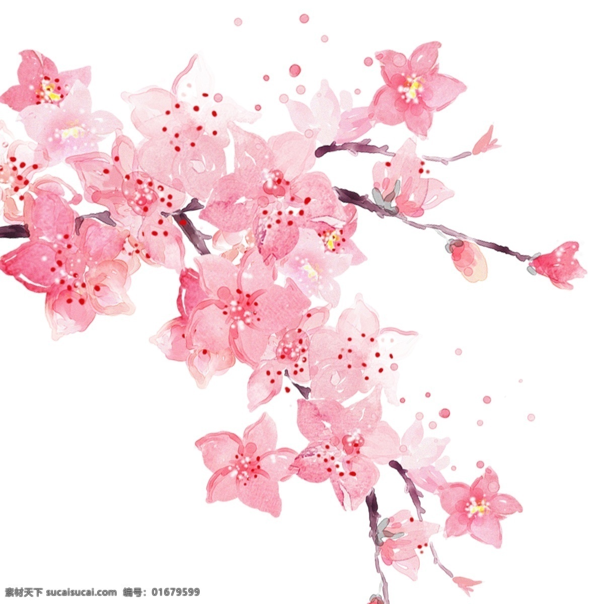 樱花节 装饰 樱花 枝 元素 树枝 花朵 枝丫