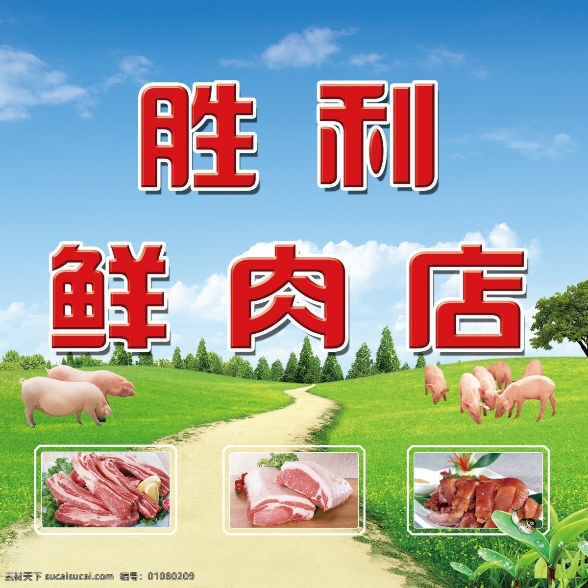 鲜肉店海报 鲜肉 猪肉 猪 白猪 蓝天 白云 草地 森林 猪肉块 肘子 广告设计模板 源文件