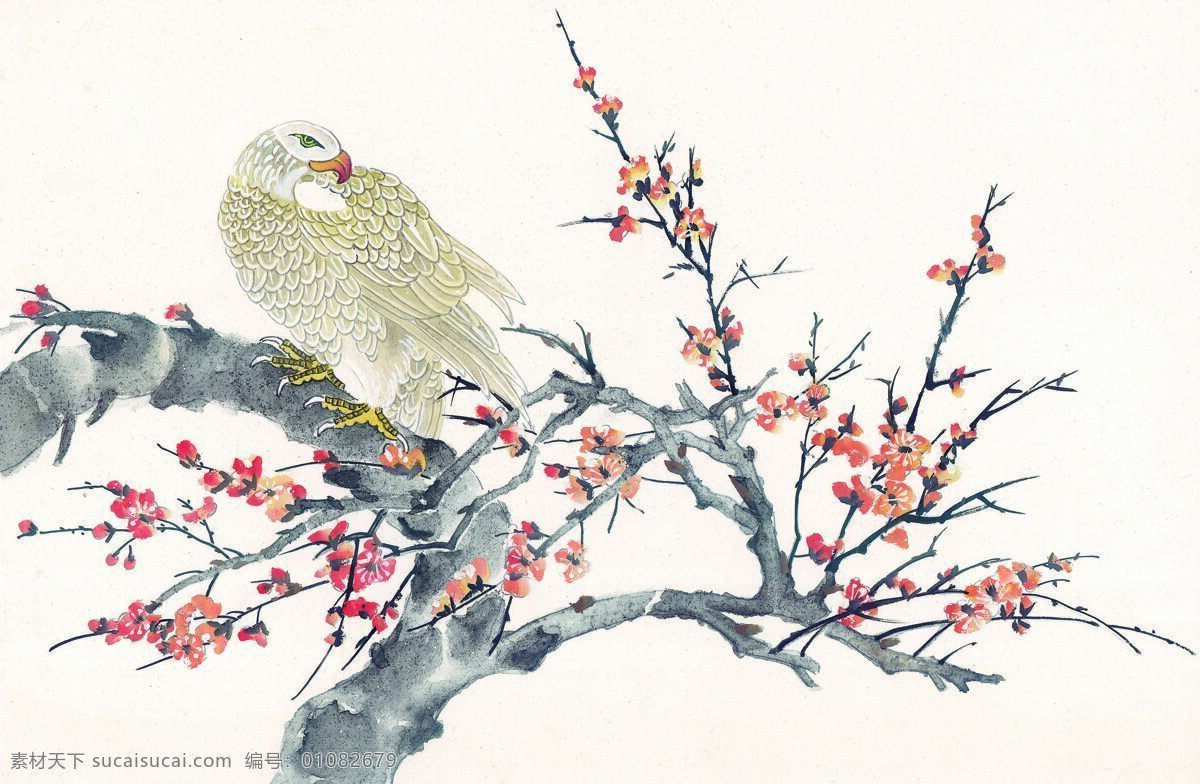 花鸟 中国画 31 书画 美术 设计素材 花鸟画篇 中国画篇 书画美术 白色