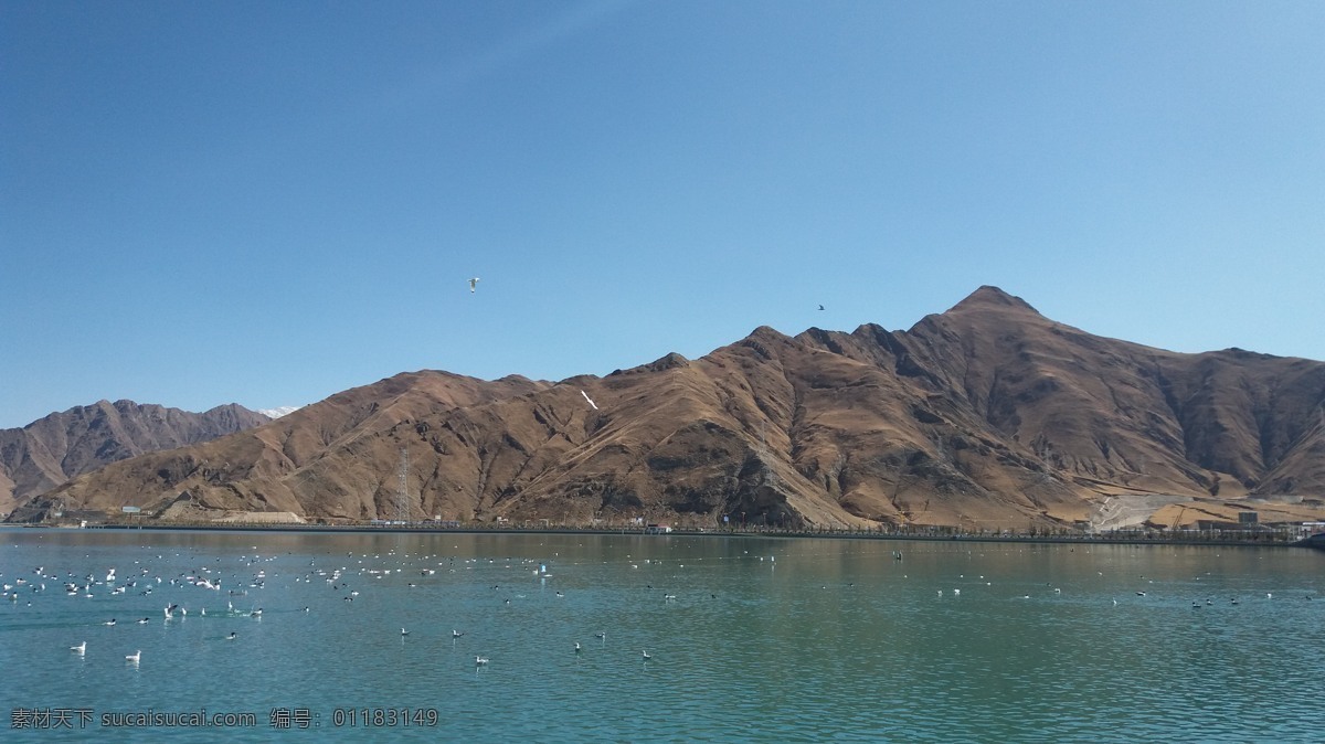 蓝天 绿水 拉萨 风景 飞鸟 旅游摄影 国内旅游