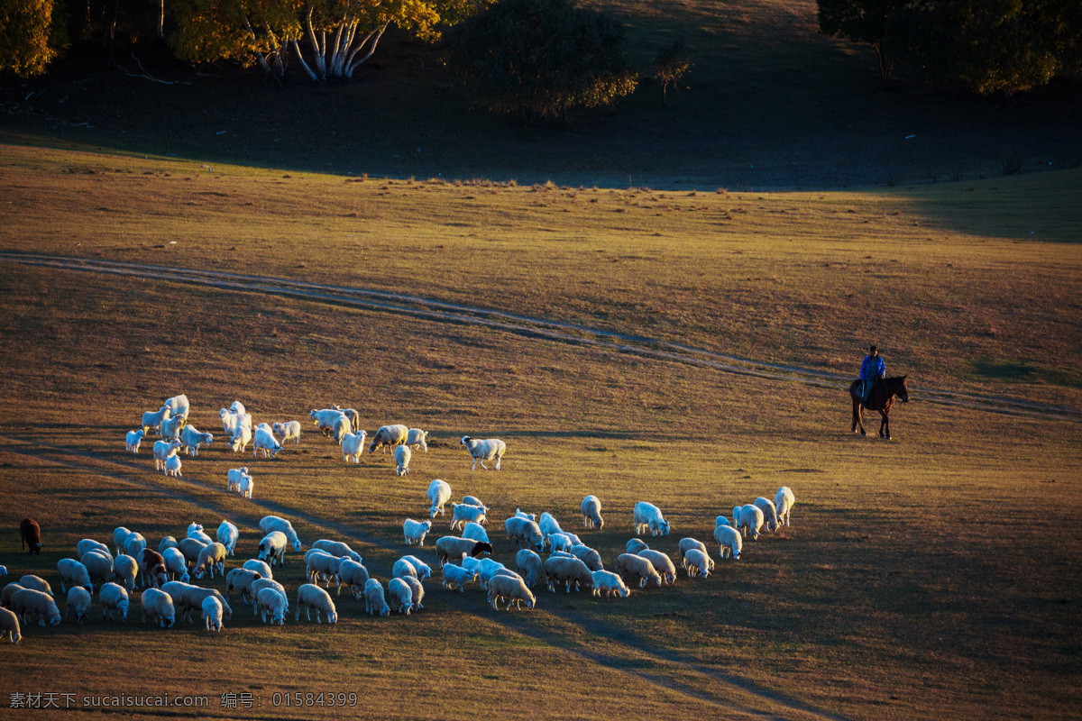 放牧 牧羊 牲畜 羊 丘陵 草原 黄昏 山坡 畜牧 草场 生态 植被 祥和 牧羊人 骑马 山水 生物世界 家禽家畜