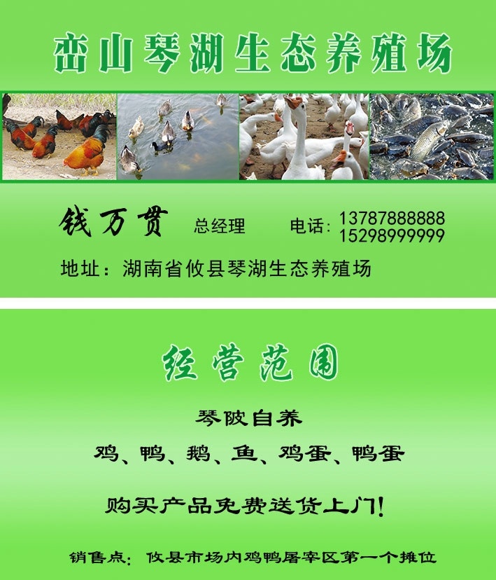 养殖场名片 养殖 生态名片 鸡鸭养殖 名片 名片卡片 广告设计模板 源文件
