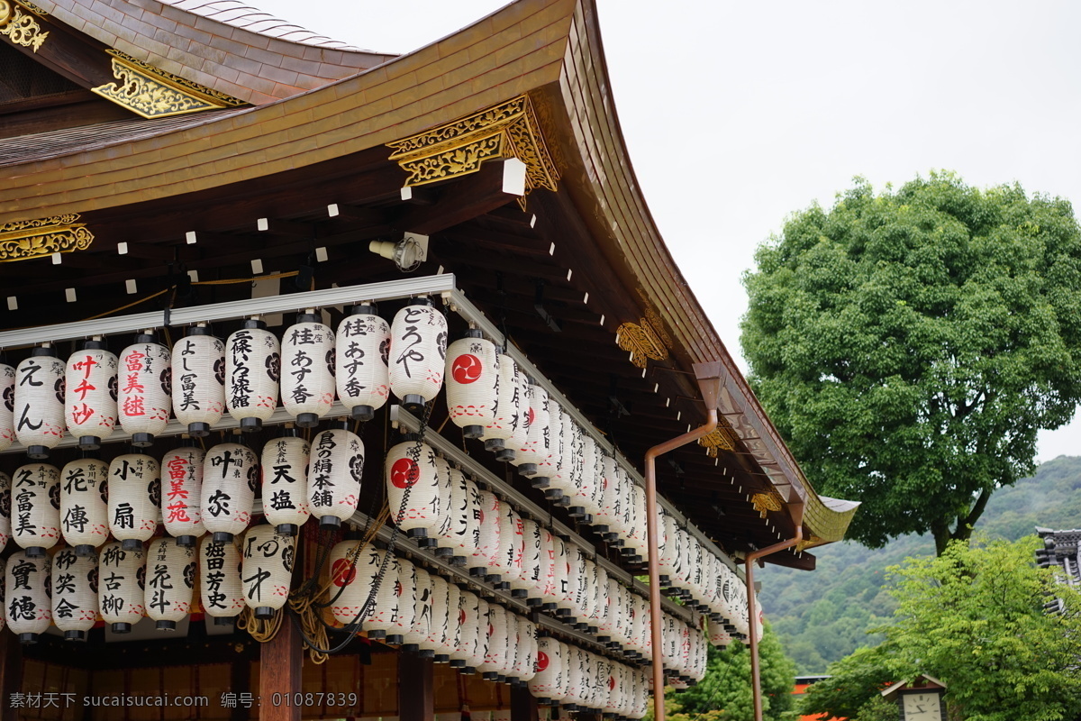 日本寺庙 寺庙 日本 神社 建筑 古建筑 庙宇 日本之旅 旅游摄影 国外旅游