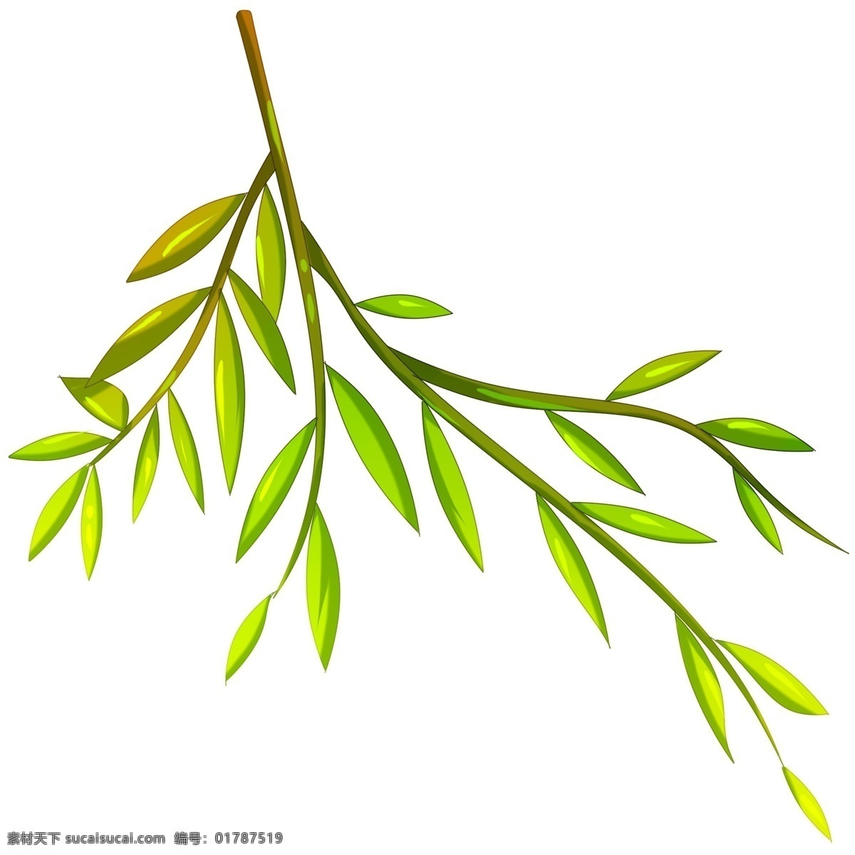 垂钓 柳树 手绘 插画 绿色的叶子 叶子装饰 手绘柳树 卡通柳树 垂钓的柳树 漂亮的柳树 绿油油的柳树