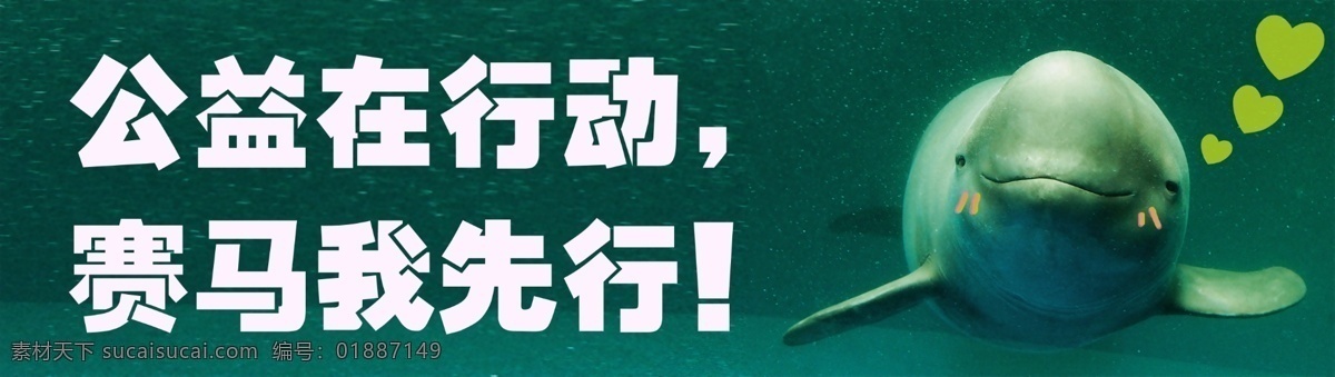 保护 海豚 公益 海报 会议 展板 海洋 公益在行动 赛马我先行 广告设计模板 源文件