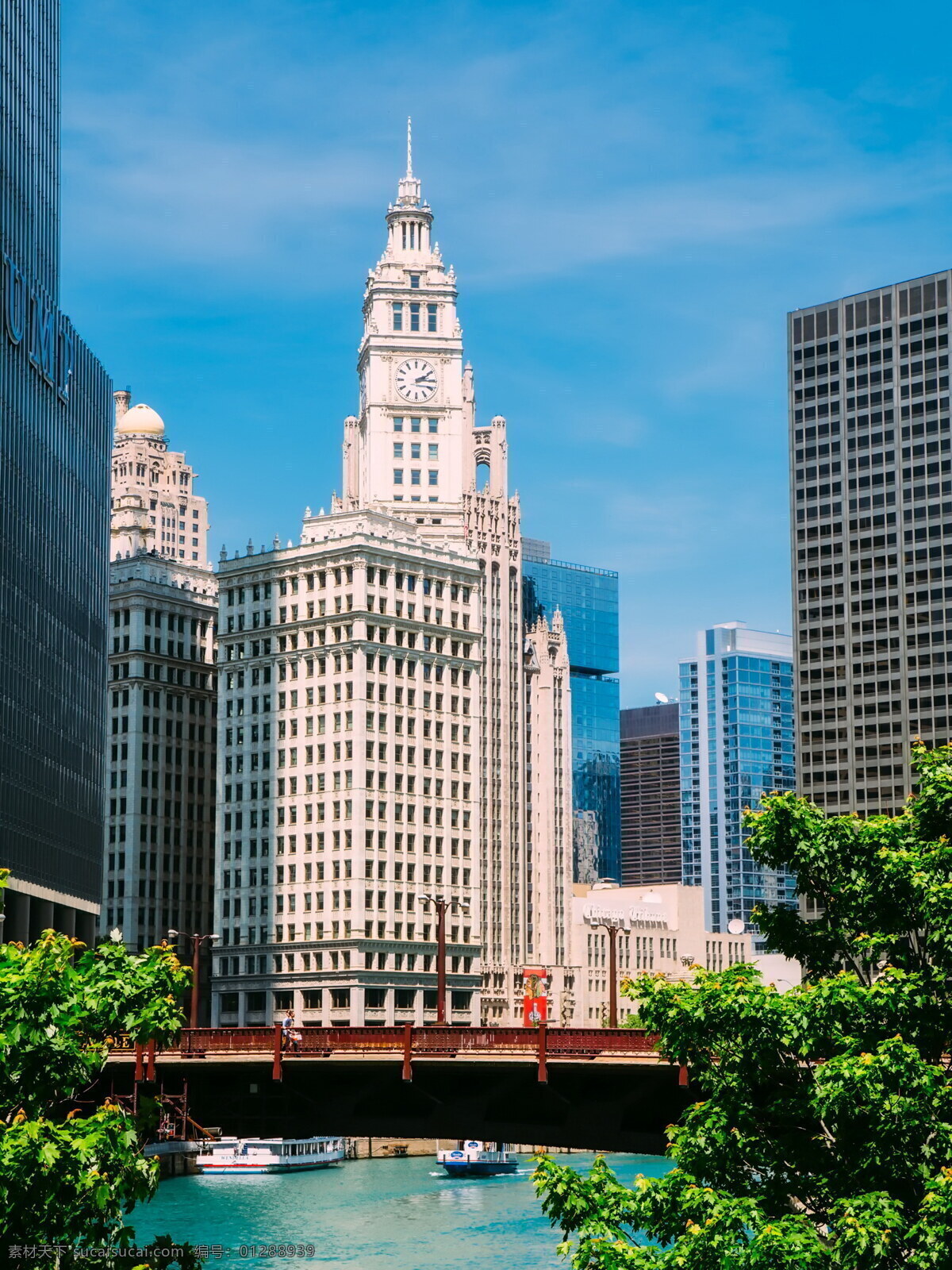 芝加哥 城市 建筑 美国 美国城市 都市 现代城市 城市建筑 大楼 高楼 建筑物 现代建筑 建筑摄影 建筑园林